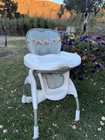Vtg Graco Winnie The Pooh Gingham Stroller   High Chair Matching Set Y2k Rare