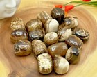 Chocolate Tumbled Stones  Reiki Crystals  Healing Chakra Pocket Gemstones