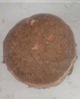 Rare Old African Drum Hand Carved Hardwood Body With Real Animal Fur  