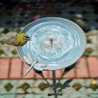 Diam 11 3  W X 27 2  H Cast Iron Pedestal Bird Bath  Bird Baths For Outdoors    