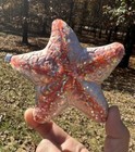 Starfish Glass Ornament Ocean Nautical Beach Mermaid Island Fish Reef Coral