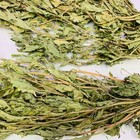 Wholesale   Dried Epazote Leaves Hojas De Epazote Bulk Leaves Free Ship