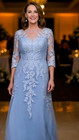 Illusion Neck Lace Applique Mother Of The Bride Dresses Wedding Evening Gowns