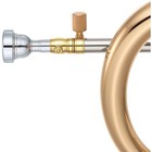 Yamaha Yfh8315iig Custom Series Bb Flugelhorn Lacquer Gold Brass Bell