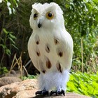 Realistic Feathered Owl Figurine Lifelike Bird Replica Simulation Wild Animal   