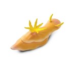 Nudibranch By Safari Ltd  Retired Discontinued Figure 226129 Rare New Unopened
