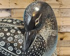 Aardik Collection Loon Figure Aardvark Canada    72 Figure Water Bird Duck Inuit 
