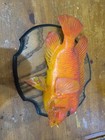 Fish Mount - Vintage 