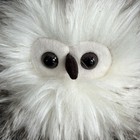 Jellycat Bertie Owlet Nwt Stuffed Animal Owl Retired Rare Fluffy Bean Bag Plush