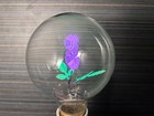 Aerolux Vintage Purple Flower Light Bulb