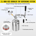 64oz Mini Keg Growler Portable Draft Beer Dispenser System Pressurized Stainless