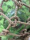 Vintage 13    Japanese Green Glass Fishing Float W  Original Rope Net Buoy