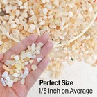 18lb Aquarium Gravel For Plants 1 5 Inch Natural Decorative River Rocks For S   