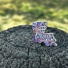 Louisiana State Enamel Pin     Bayou State Collectible Lapel Pin