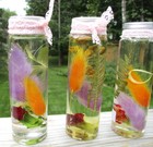 Dried Flower Herbarium With Real Botanicals  Natural Home Decor  Gift 