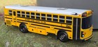 Blue Bird All American D3 School Bus Bank