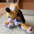 Disney Parks Pluto Bean Bag Plush Vintage Htf Bathrobe Slippers Spa Nwt