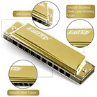 Easttop 2-pack Diatonic Harmonica Set Key C 10hole Blues Harp Mouth Organ Gift