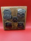 Lot Of 5 Vintage Brothel Inspector Badges