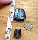 Allosaurus Teeth Sections Fossils Agatized