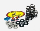 03  Arctic Cat Dvx400 Dvx 400 Kibblewhite Intake   Exhaust Valves Springs Seals