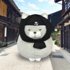 Ninja Cat Plush Gotouchi Higemanjyu St Ninja Hotoke Amuse Japan D5 9in