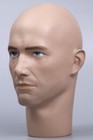 Mannequin Male Head Lifesize Realistic Hand Painted Model Te30    New