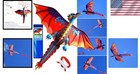63 Inch Dragon Kite For Kids Adults Nylon Easy To Fly Single Line