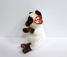 Ty Beanie Babies Beanie Bellie Miso The Siamese Cat Stuffed Animal Plush 6  Nwt