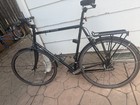Motobecane Cafe Noir 700c 18 5in 7-speed City Bike Rim Brake Rack Fenders