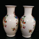 A Pair Chinese Pastel Porcelain Handpainted Exquisite Flowers plants Vase 26084