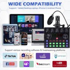 Complete Studio Recording Kit Mixer Condenser Microphone Music Podcast Earphone