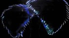 Worship Led Flags For Dance Praise Church Led Flags Show Banderas De Danza