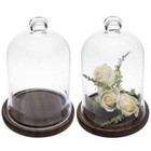 Clear Glass Jar Cloche Dome Display Case With Brown Wood Base  Set Of 2