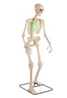 Home Accents Ultra Skelly App Controlled Animated Figure Collectible Animatronic