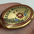 Vintage Beech Mountain North Carolina Primitive Floral Oval Souvenir Lapel Pin