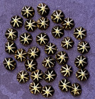 32 Tiny Navajo Hand Embossed Stamped Buttons Lot   50 Very Small   Thin
