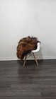 Icelandic Sheepskin Rug   Sheepskin Rug   Soft Silky Long Wool  c777