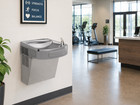 Lzs8l Single Filtered Ada Water Fountain  Cooled  Light Gray Granite  120v