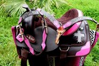 Western Cordura Trail Barrel Pleasure Horse Saddle Bridle Tack Pink 4983