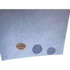 Blue Litmus Test Paper 8  10 Inch Sheet  pack Of 24 