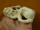 Octo-w53 Large Octopus Of Shed Antler Figurine Bali Detailed I Love Octopi