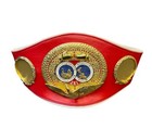 Mike Tyson Boxing Champion Coa Auto Gold Belt   Shorts  Black Gloves photo 