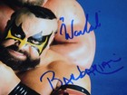 Warlord barbarian Signed   Autographed  8x10 Photo Jsa Coa Wwe