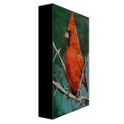 Yary Dluhos Cardinal Bird Winter Christmas Nature Original Art Canvas Print
