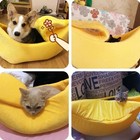 Cute Banana Cat Bed House Warm Soft Pet Kennel Portable Dog Cat Mat