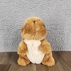Vintage Eden Toys Peter Rabbit Plush Beatrix Potter Brown Bunny 8 Inch Standing