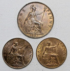 Lot 3 Great Britain Unc Red red Browm Large One Penny 2-one Half Penny 1900-01