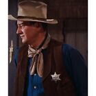 Replica John Wayne Rio Bravo Sheriff Presidio County Texas Badge Old West Badge