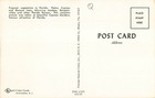 Vintage Postcard Cypress Gardens Florida Tropical Vegetation Boat Scene